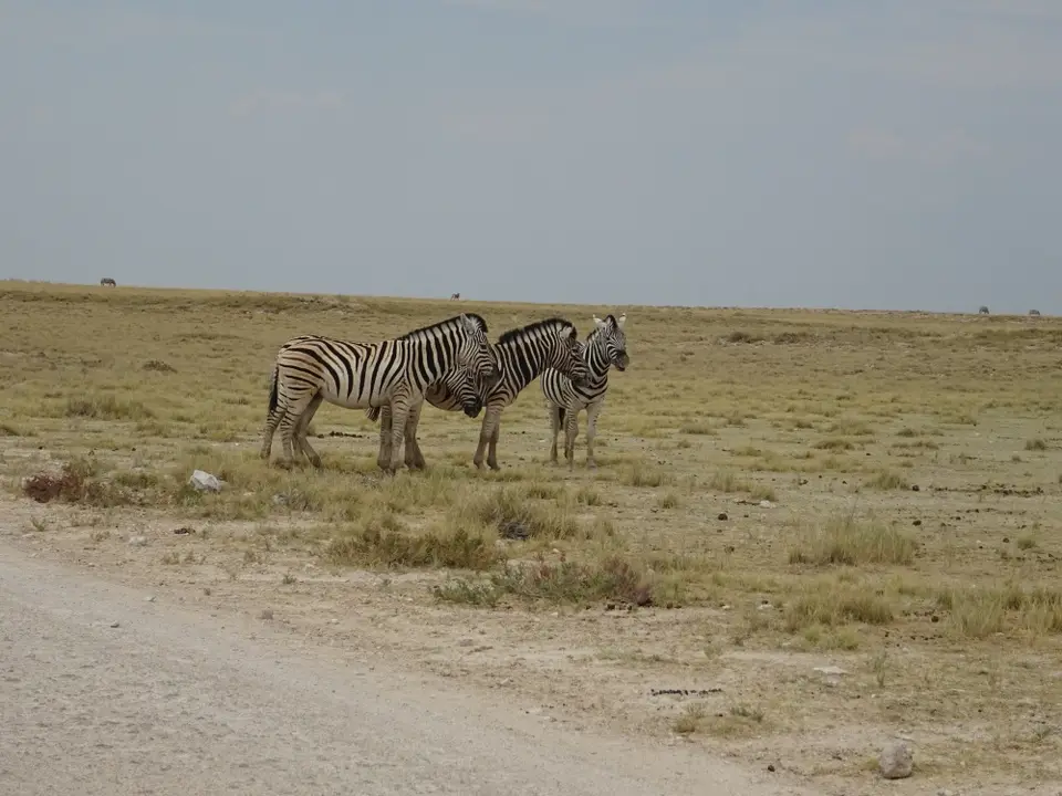 Namibia(59).JPG