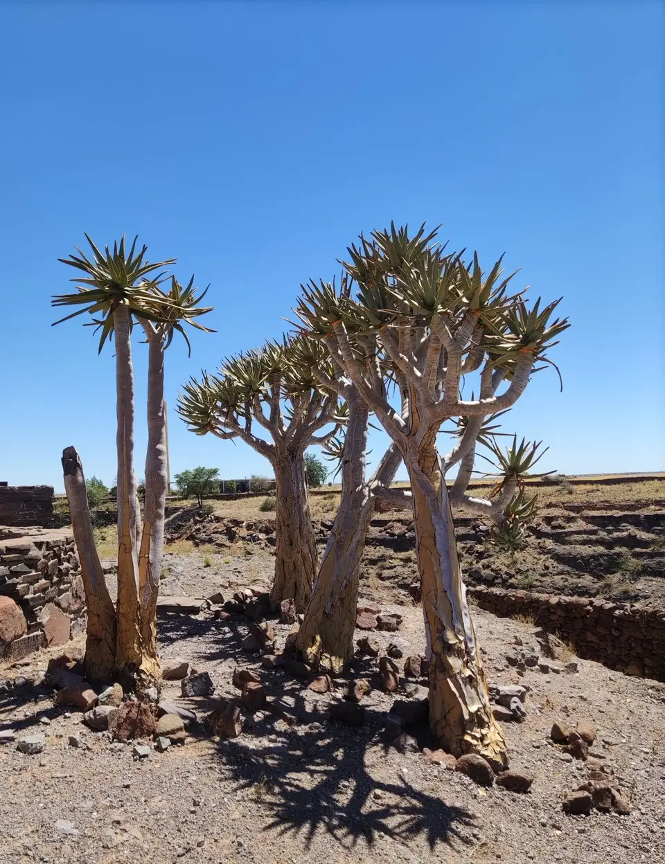 Namibia(7).jpg