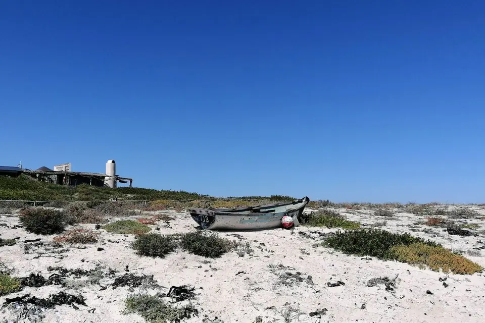 Südafrika0001(240).jpg