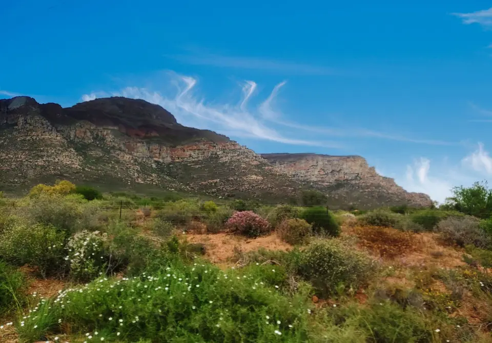 Südafrika0001(288).jpg