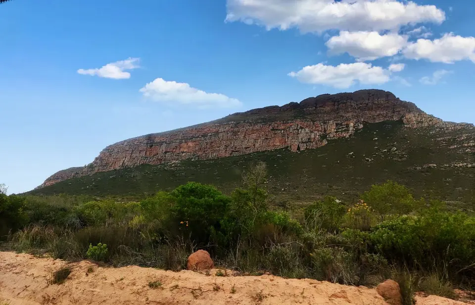 Südafrika0001(289).jpg