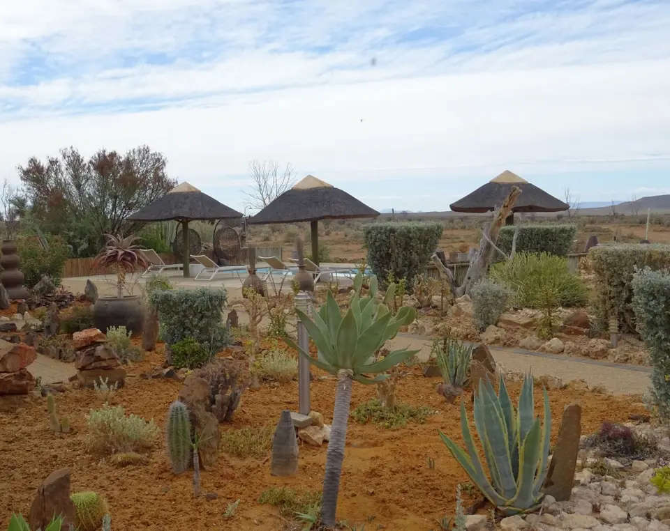 Südafrika0001(312).JPG