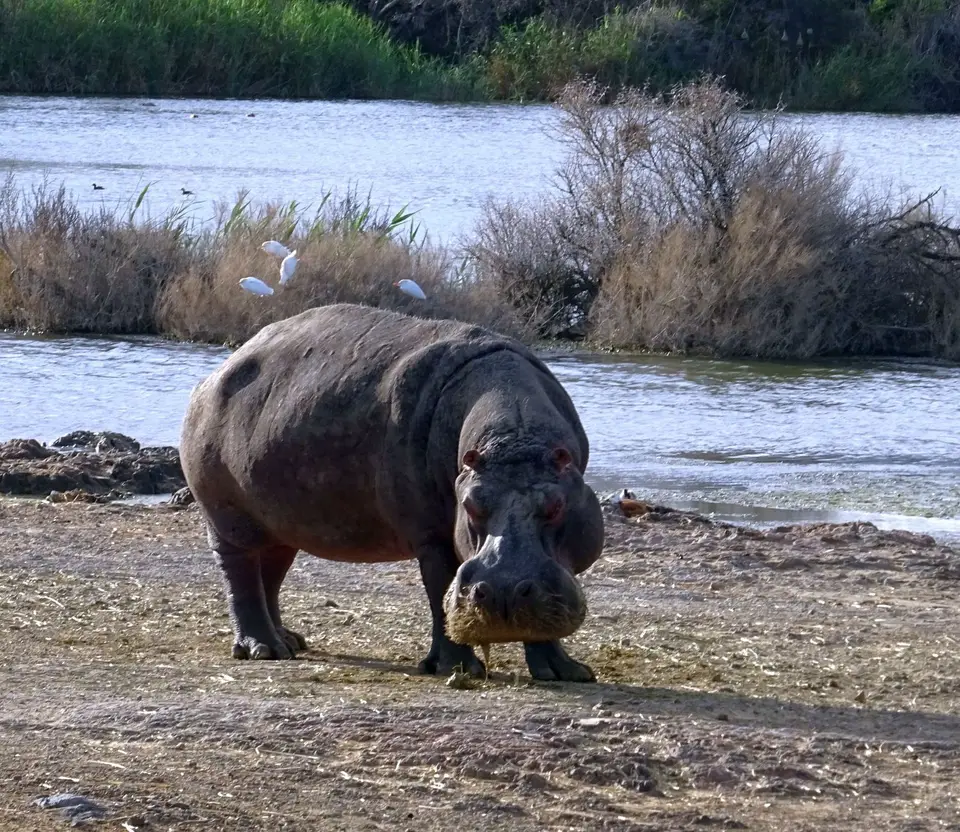 Südafrika0001(369).JPG