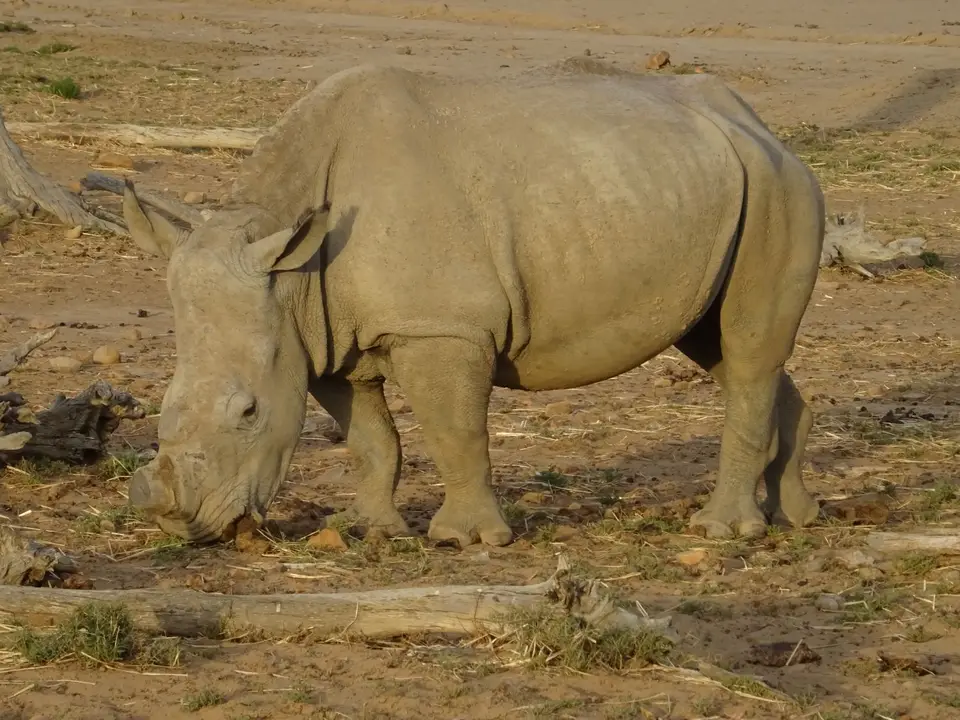 Südafrika0001(413).JPG