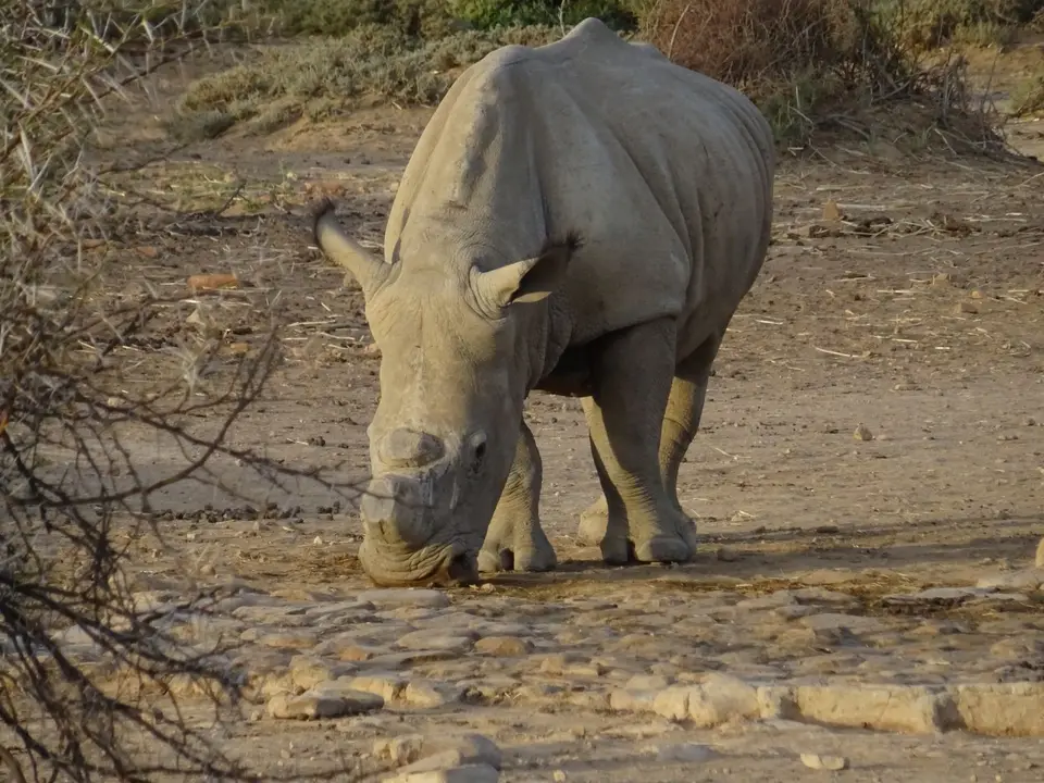 Südafrika0001(414).JPG