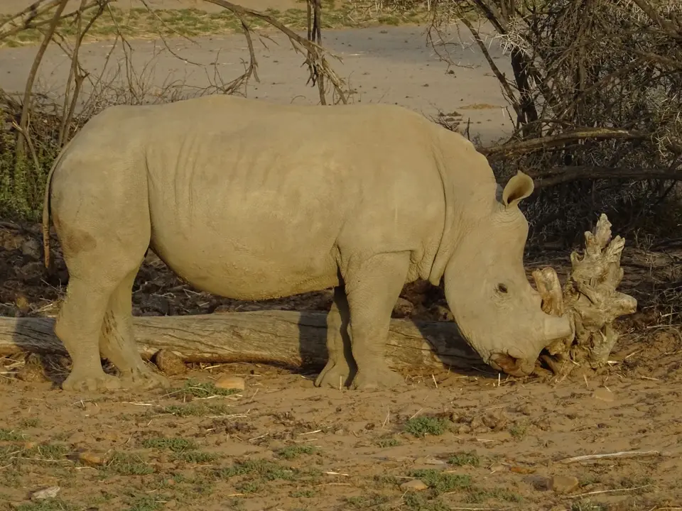 Südafrika0001(416).JPG