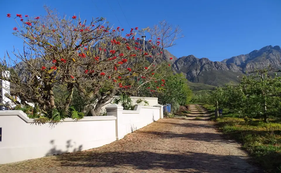 Südafrika0001(542).JPG