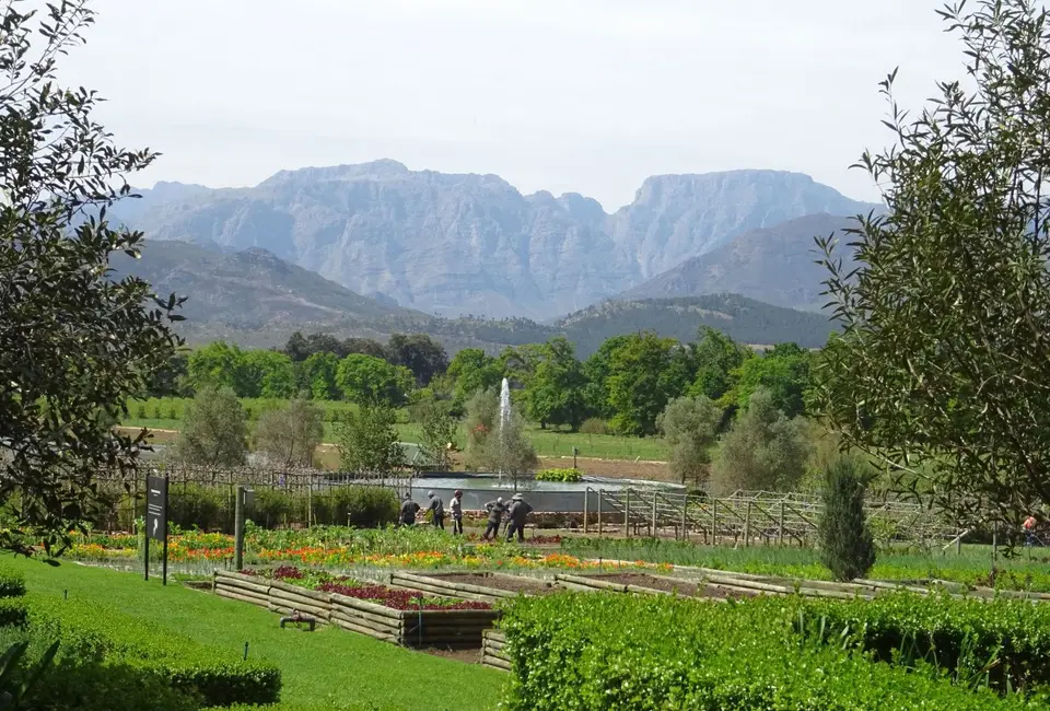 Südafrika0001(603).JPG
