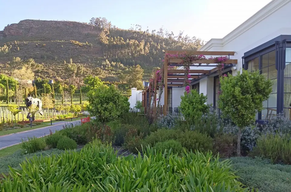 Südafrika0001(668).jpg