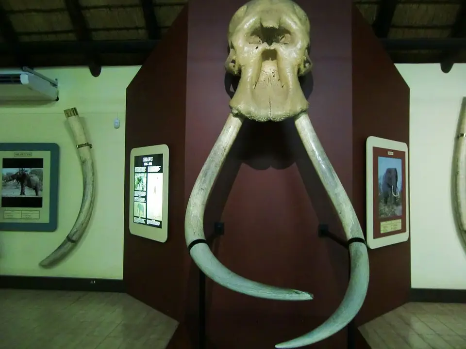 h3077576.jpg