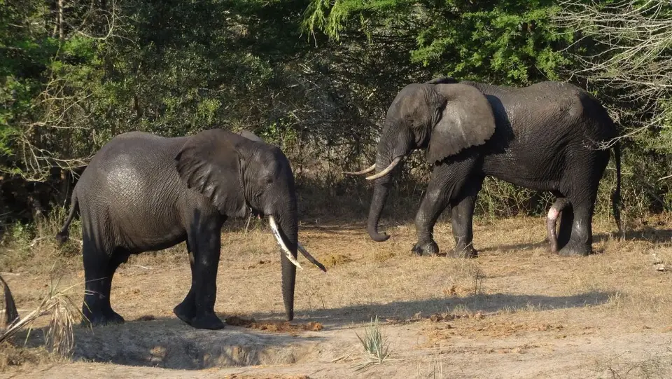 h5dcc396.jpg
