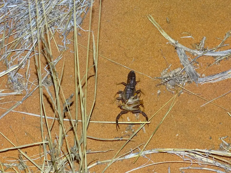 image013.jpg