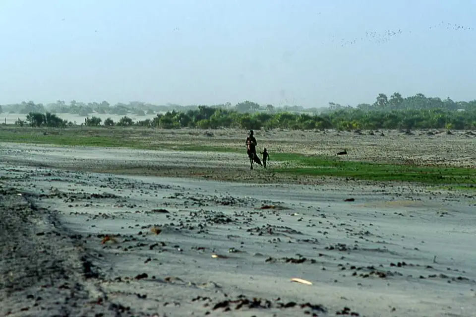 Turkana.jpg