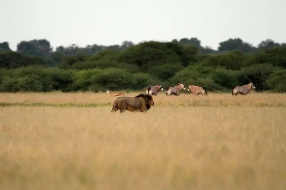 IMG_8554.JPG