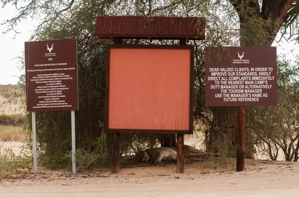 h246903b.jpg