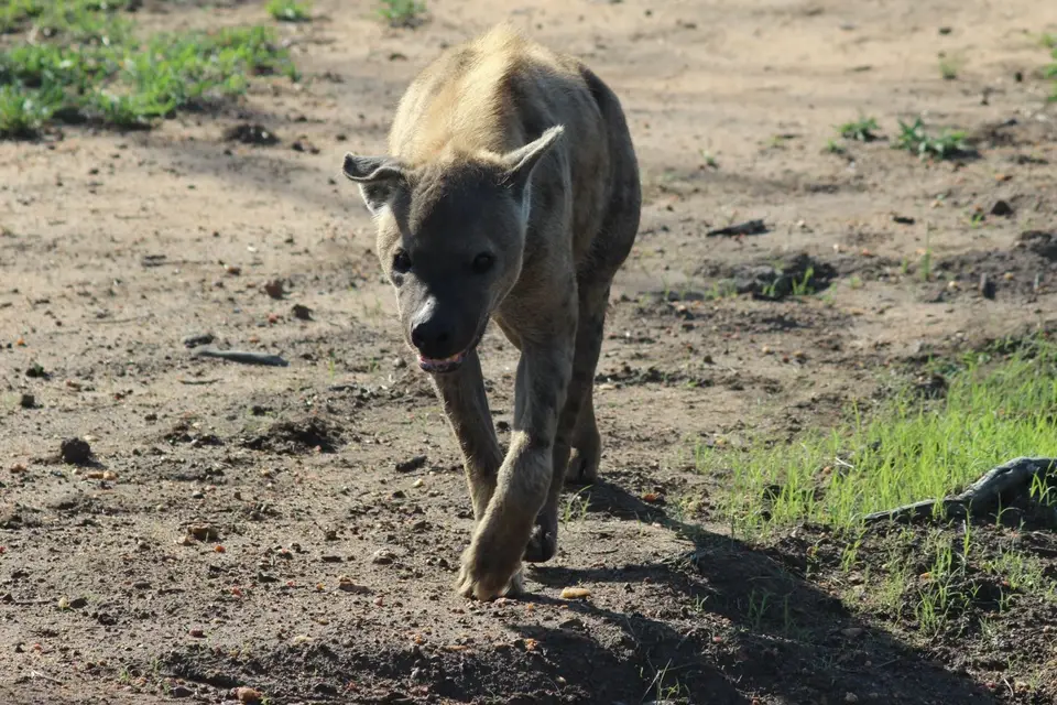49050814_10212380125848138_7119045049173671936_o.jpg