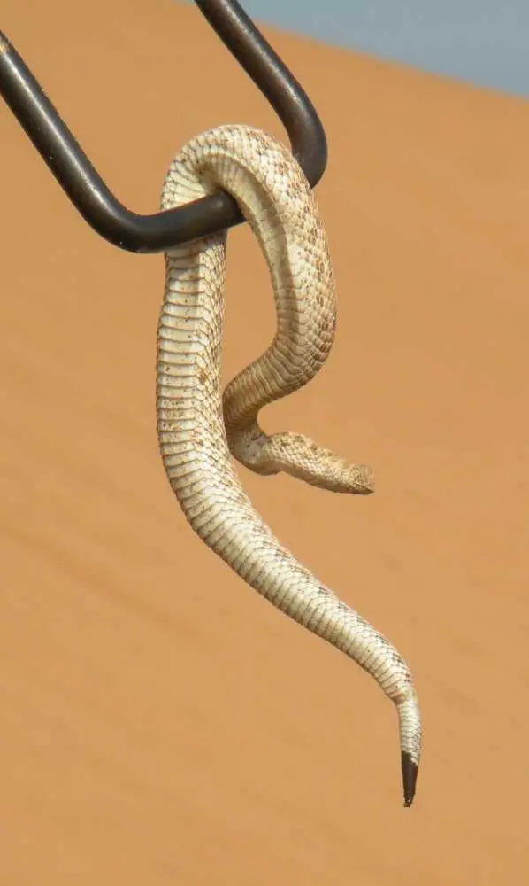 DSCN1317.JPG