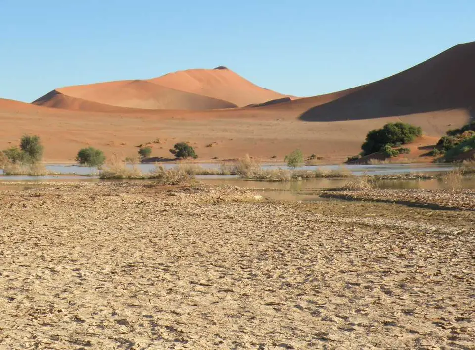 DSCN1682.JPG