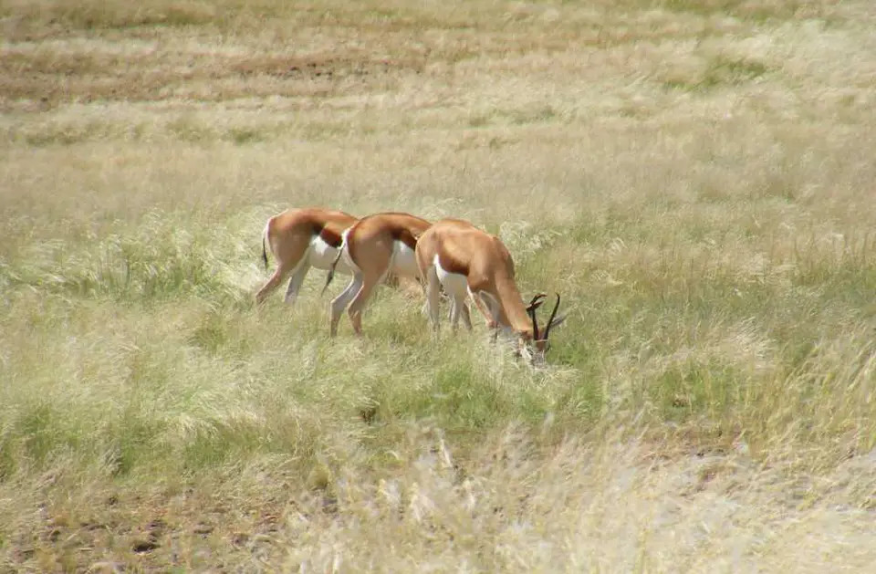 DSCN1818.JPG