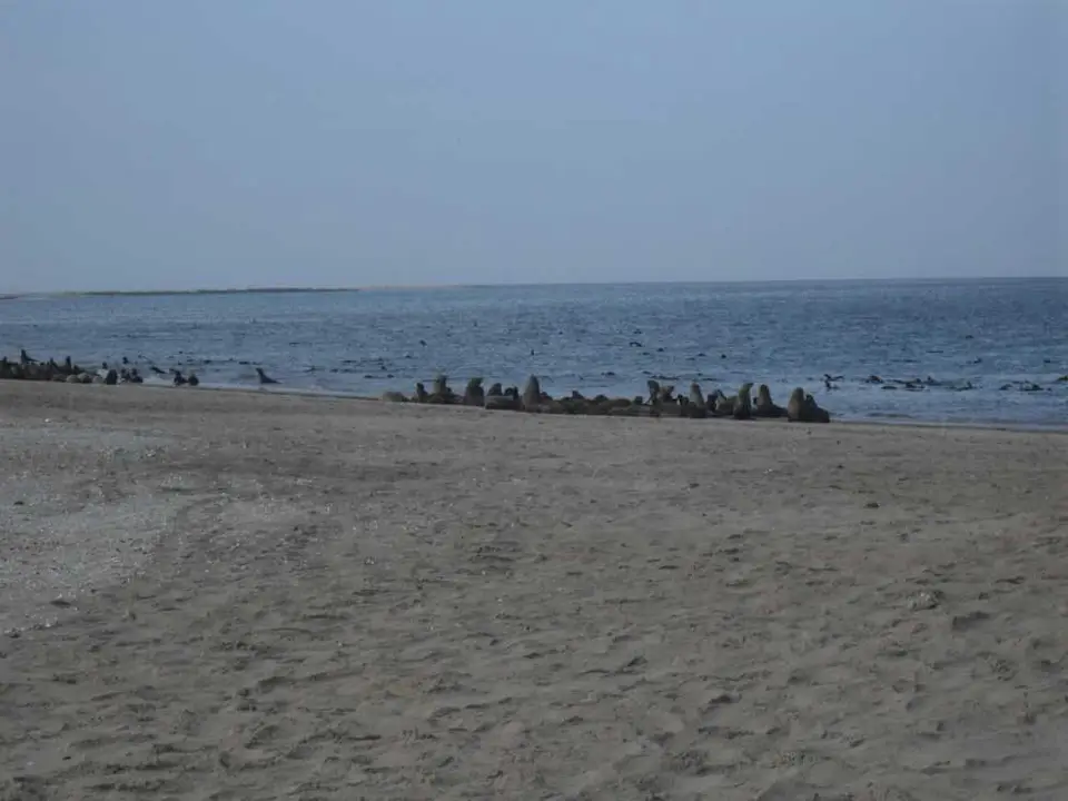 SDC11316.JPG