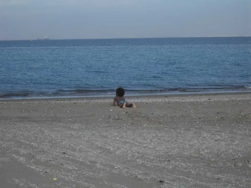 SDC11318.JPG