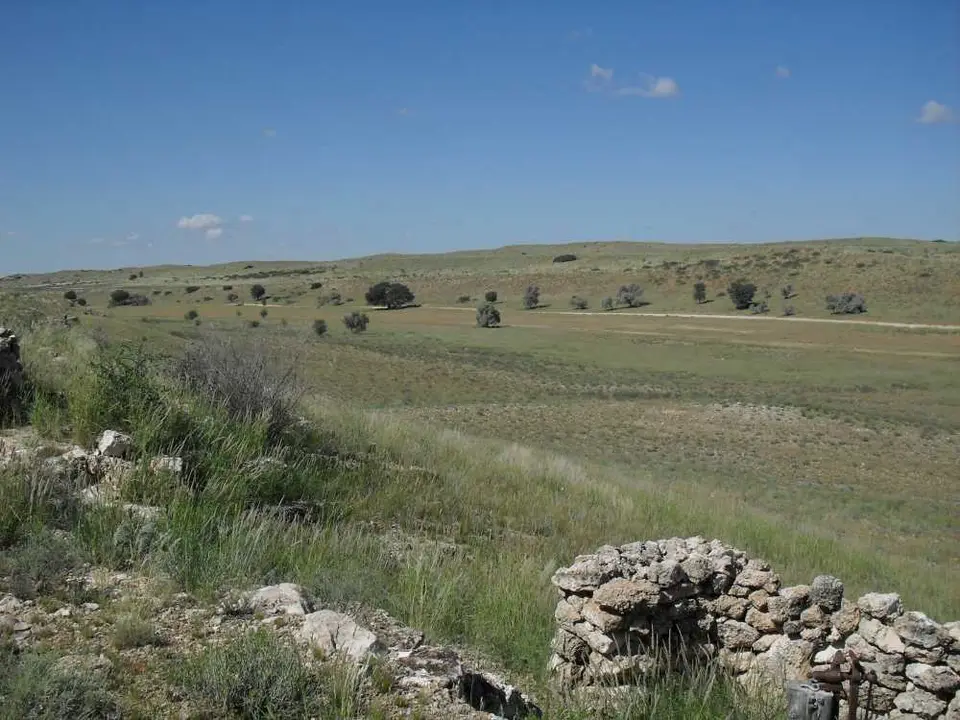 SDC11599.JPG