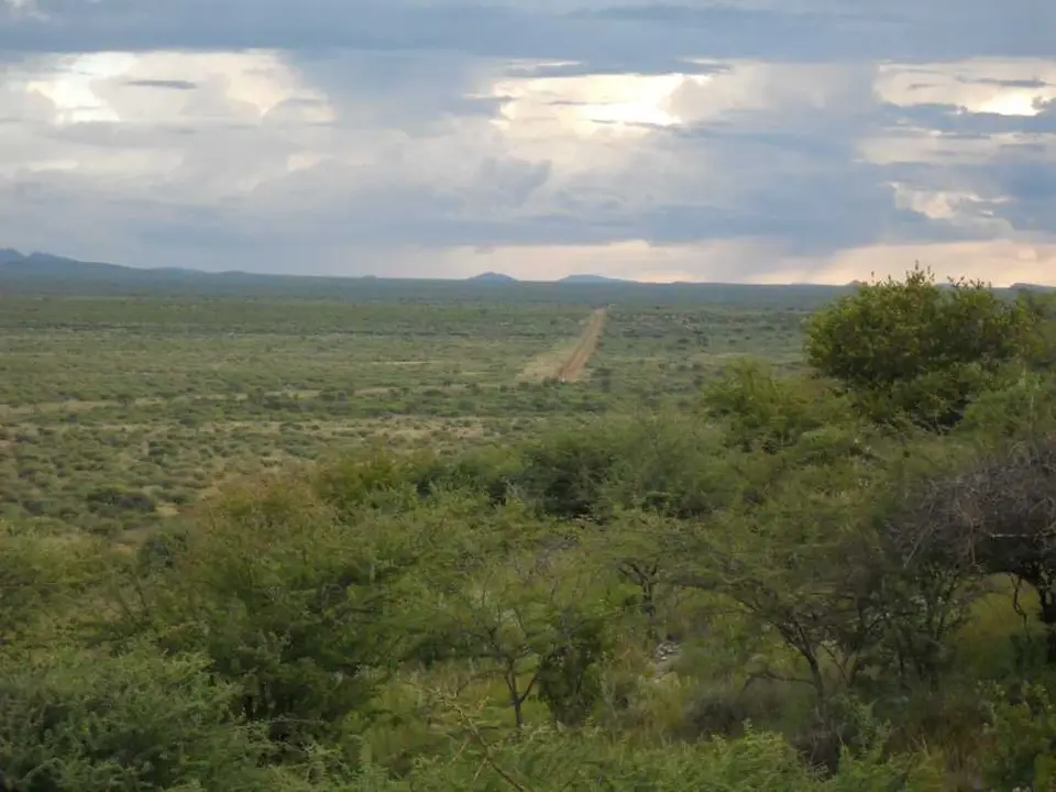 SDC11904.JPG