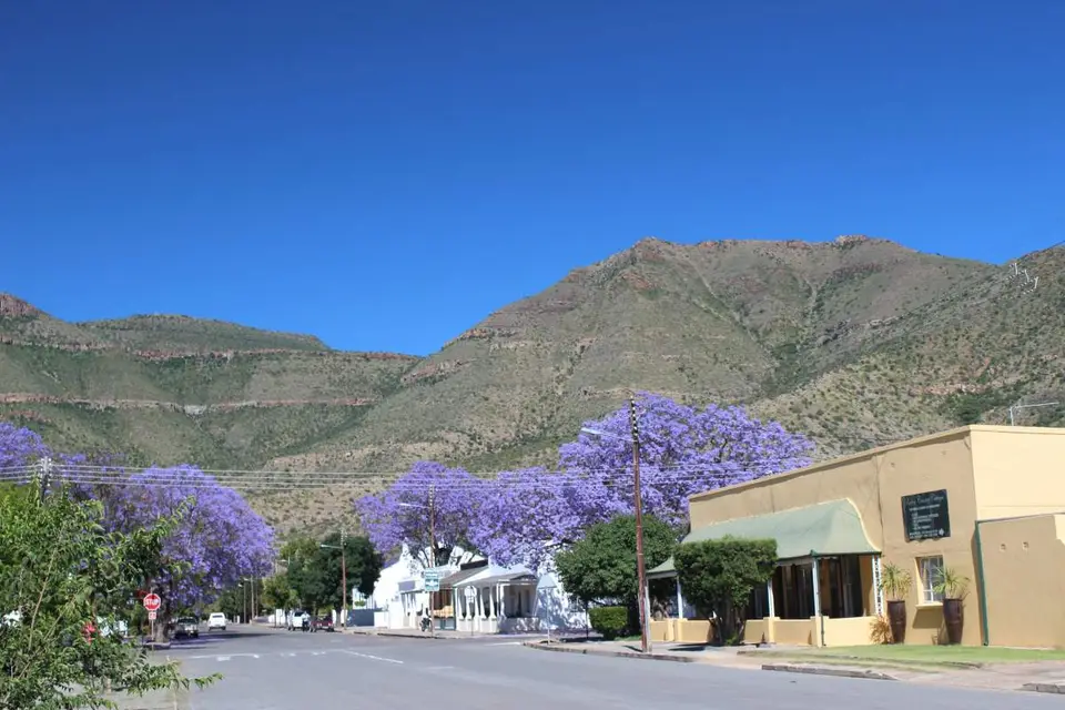 karoo018.jpg