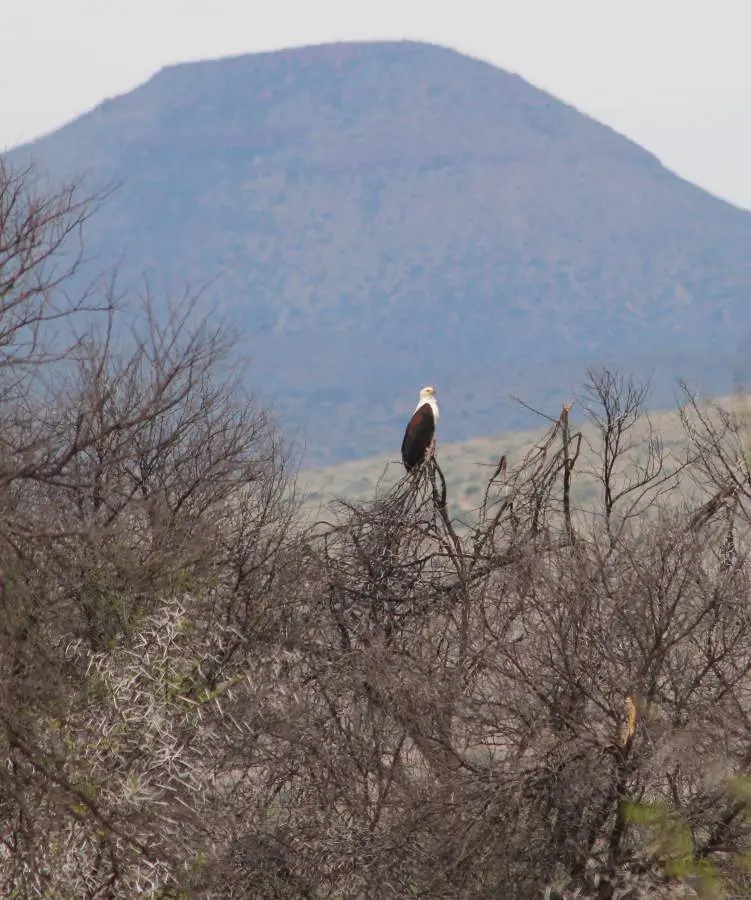 karoo071_2012-12-16.jpg