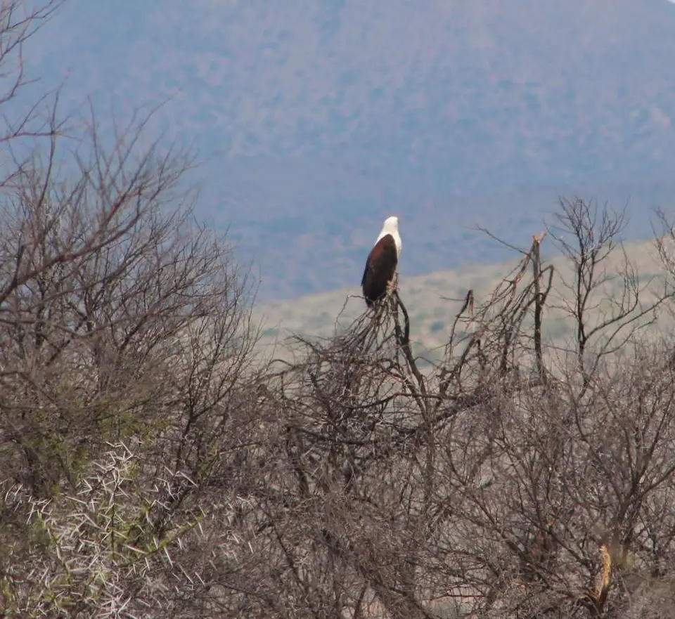 karoo072_2012-12-16.jpg
