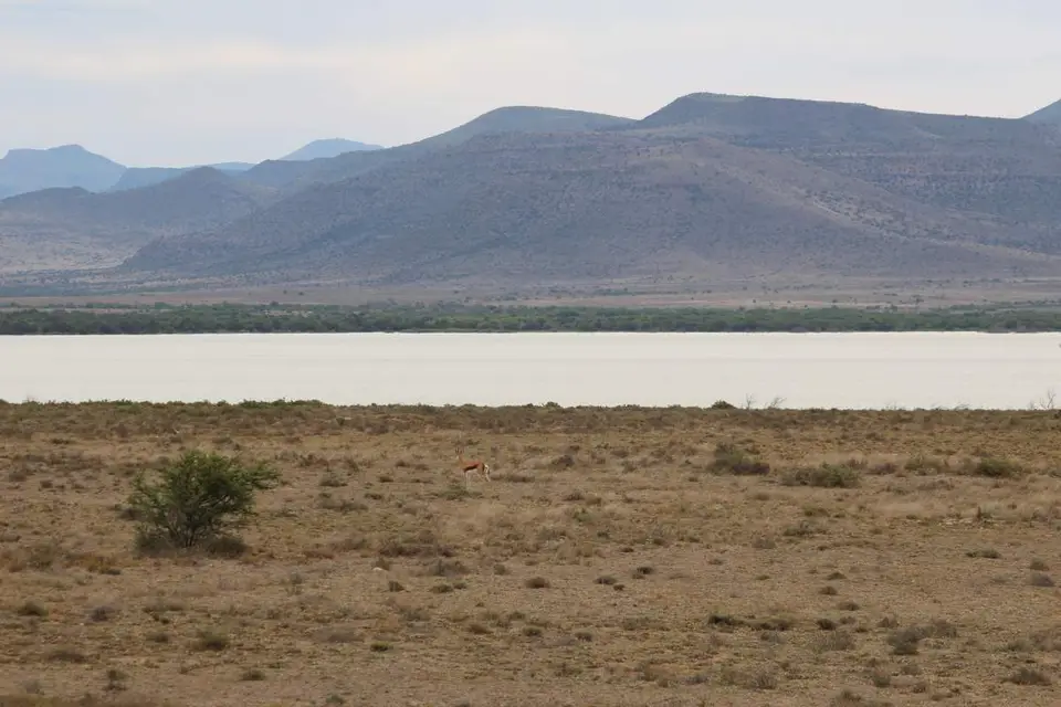 karoo090_2012-12-16.jpg