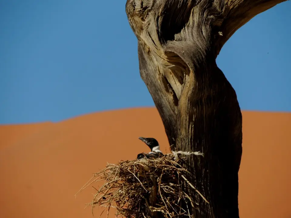 he6019e1_2015-03-01.JPG