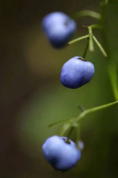 529A0781.jpg
