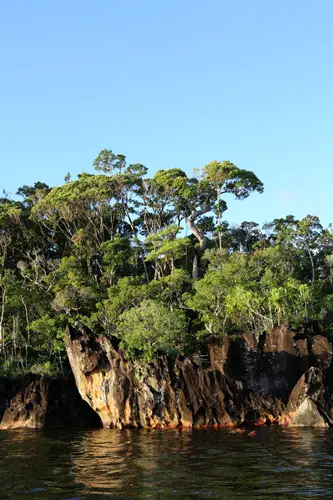 529A1239_2013-06-09.jpg