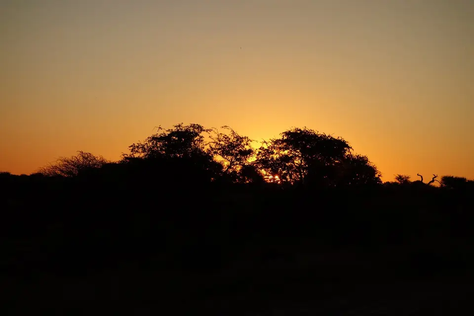 h200a663.jpg