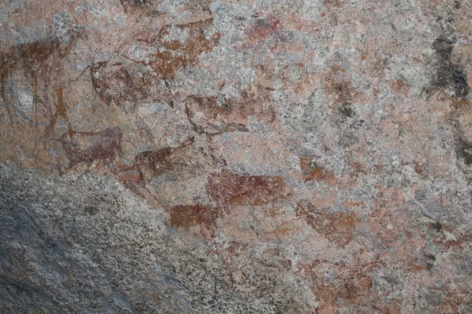 h4b3109e.JPG