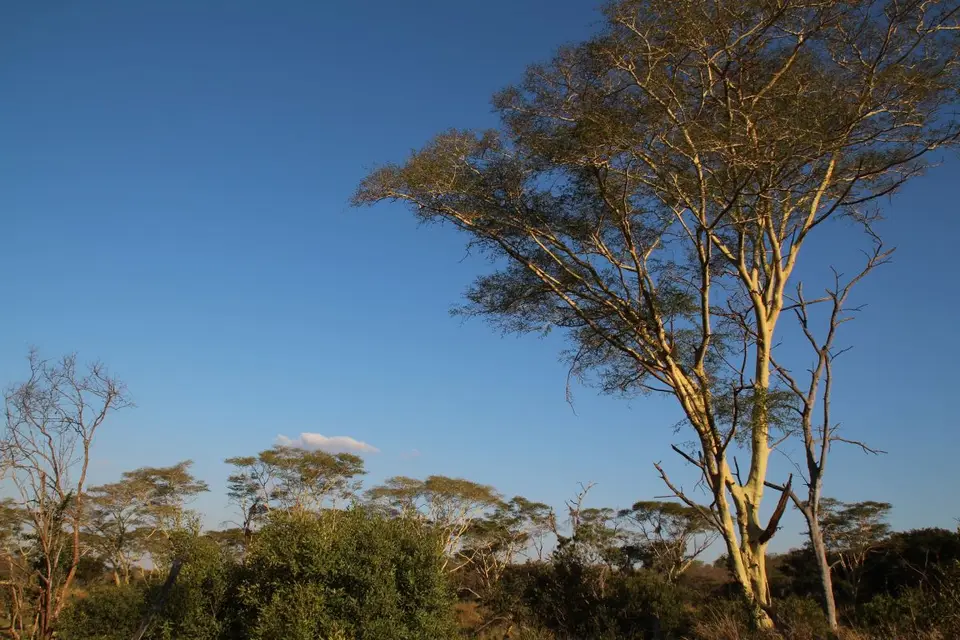 h5f1e697.JPG