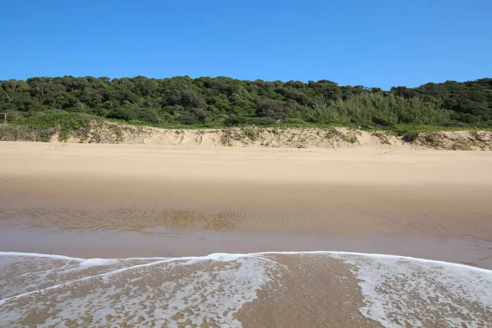h7289790.JPG