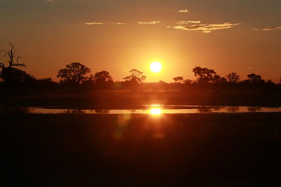 h9078715.JPG
