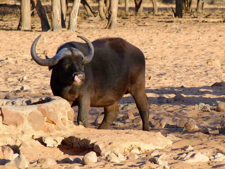 Waterberg_2011-10-24.jpg