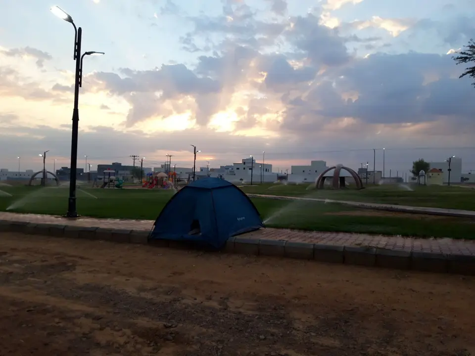 20241029_062858.jpg