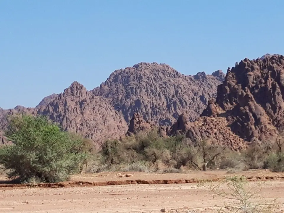 20241029_132916.jpg