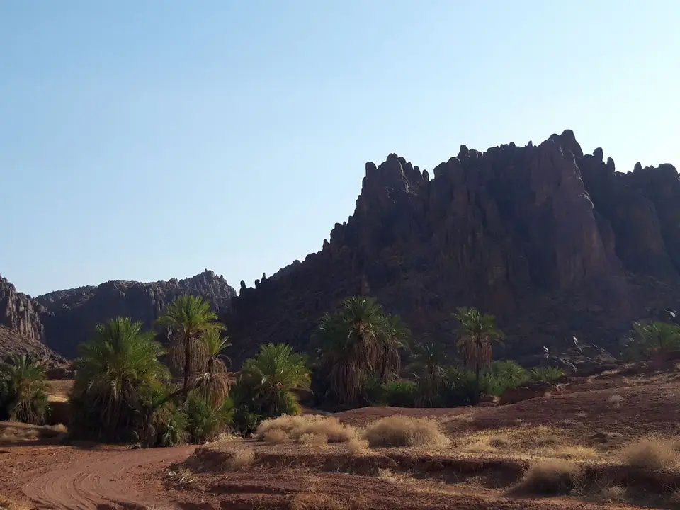20241029_151658.jpg