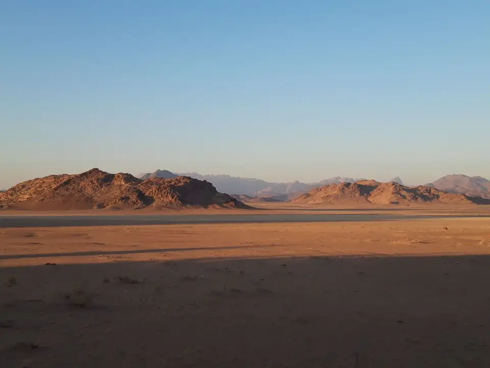 20241104_071628.jpg