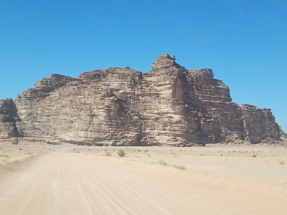 20241104_104528.jpg