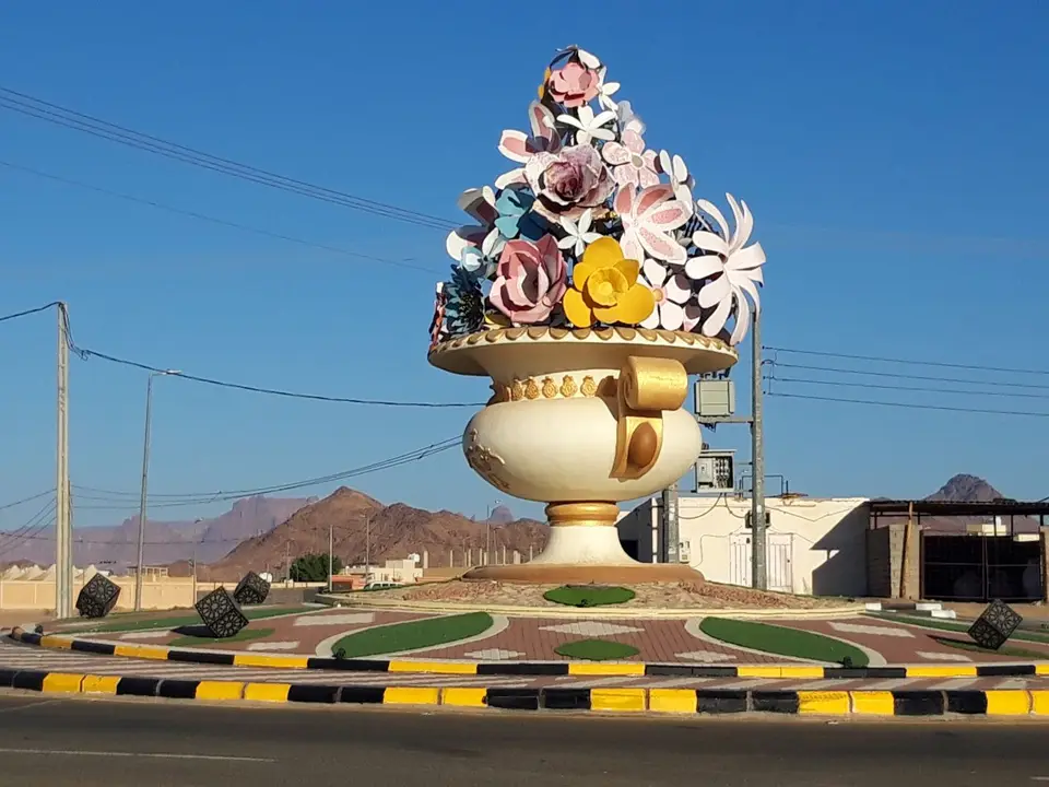 20241104_163028.jpg