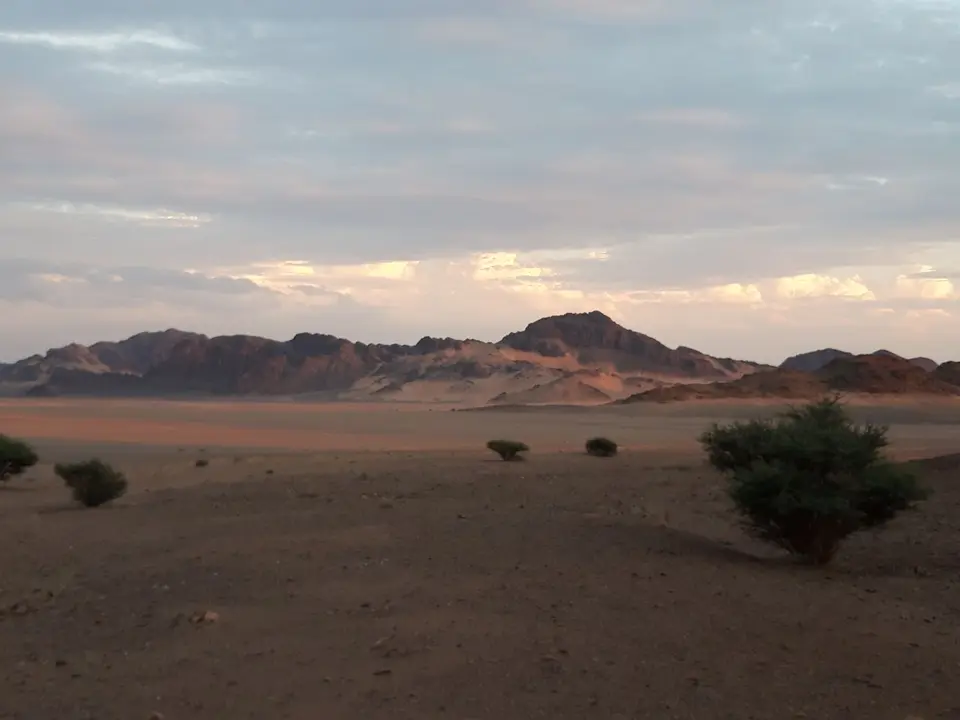 20241105_172550.jpg