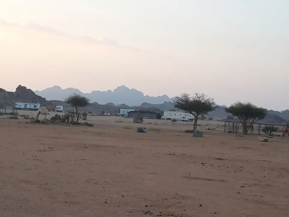 20241106_064753.jpg