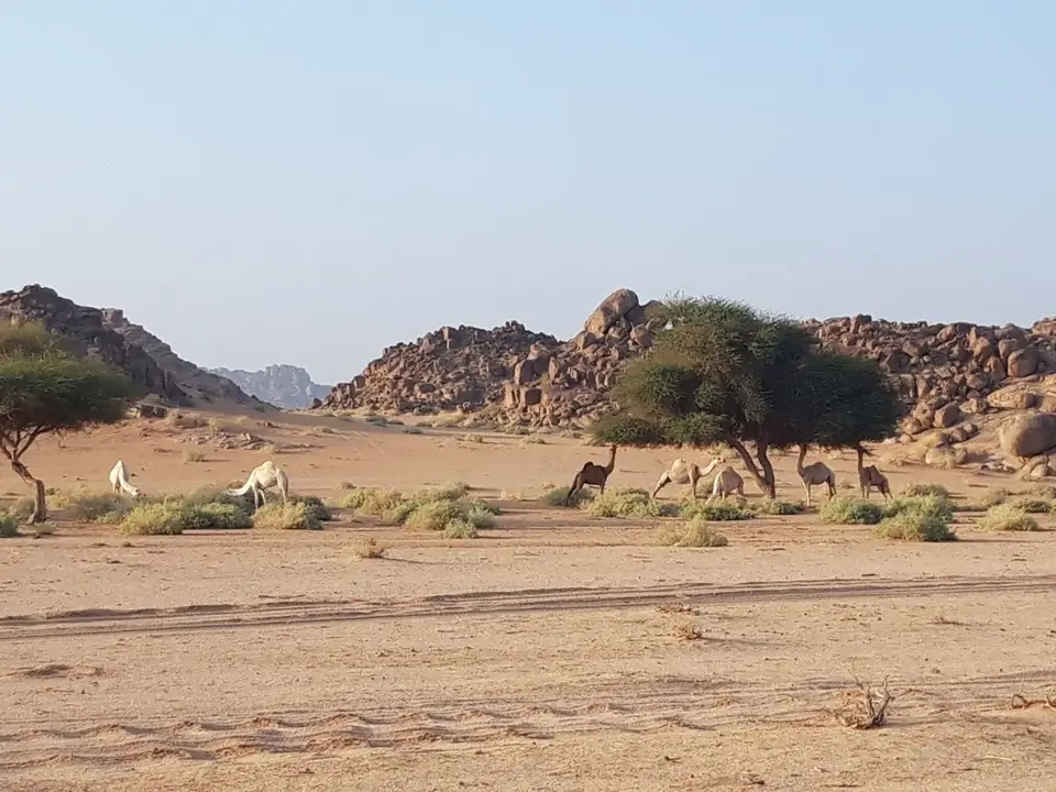 20241106_073550.jpg