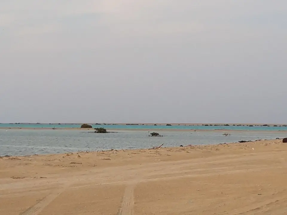 20241106_171735.jpg